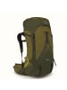 Osprey Atmos AG LT 65 L/XL - Trekkingrucksack 90 cm (scenic valley/green peppercorn) in scenic valley/green peppercorn