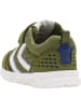 Hummel Crosslite Infant Lebensstil Mädchen in CAPULET OLIVE