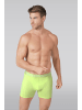Muchachomalo 3er-Set: Boxershort in Mehrfarbig - für Herren