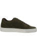 palado Sneakers in Green