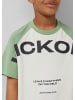 s.Oliver T-Shirt in 7253_salbeigrün