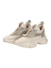 Steve Madden Sneaker in Sand