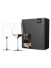 Eisch 2er Set Allroundgläser Inspire SensisPlus 740 ml in Aqua