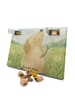 Mr. & Mrs. Panda Hunde Adventskalender Hund Liebe Design ohne Sp... in Weiß