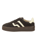 GANT Footwear Sneaker in Espresso