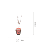 NatureNest Acer palmatum Twomblys Red Sentinel Ahornpflanze in Rot Topf 19 cm Höhe 50 cm