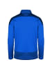 Puma Trainingspullover teamGOAL 23 in blau / hellblau