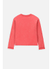 Coccodrillo Sweatshirt in rot