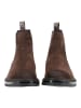 Steve Madden Stiefelette HATTON in Dunkelbraun