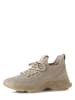 Steve Madden Sneaker Maxout in beige - 0001