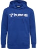 Hummel Hummel Hoodie Hmlgo Multisport Unisex Erwachsene in TRUE BLUE