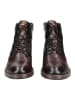Pikolinos Stiefelette in Dunkelbraun