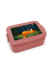 Mr. & Mrs. Panda Lunch Box Fuchs Sterne Design ohne Spruch in Rot Pastell