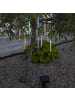 STAR Trading Solar Lichterkette Bubbly Light-chain in Transparent