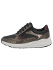 Solidus Damen- Schnürschuhe Kitty - Weite H+K in Grün