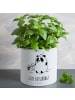 Mr. & Mrs. Panda XL Blumentopf Panda Gute Besserung mit Spruch in Weiß