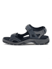 Ecco Outdoorschuh in grau