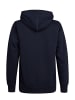 Petrol Industries Artwork Hoodie Wenatchee in Blau
