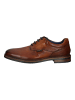 Bugatti Businessschuhe in Cognac