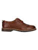 Clarks Businessschuhe Aldwin2 Limit in 5234 Dark Tan Lea