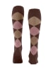 Burlington Marylebone Kniestrumpf in Hazelnut