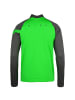 Nike Performance Longsleeve Dry Academy Pro in grün / anthrazit