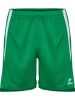 Hummel Short "Hmllead 2.0 Shorts" in Grün