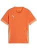 Puma Sportshirt "TeamGoal Matchday Jersey jr" in Orange