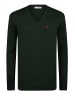 Felix Hardy Pullover in Grün