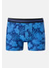 Schiesser Retro Short / Pant 95/5 Organic Cotton in Blau / Dunkelblau