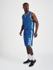 Hummel Hummel Kurze Hose Hmlcore Basketball Erwachsene Schnelltrocknend in TRUE BLUE