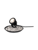 paulmann Plug & Shine LED Spot Teichleuchte Einzelspot