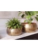 FineBuy Vase in Gold / Aluminium / 39x39x17