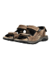 Igi&Co Sandalen in Braun