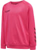 Hummel Poly Sweatshirt Hmlpromo Kids Poly Sweatshirt in RASPBERRY SORBET