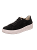 Legero Sneakers Low REJOISE in Schwarz