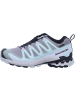 SALOMON Sport-Schuhe Schuhe XA PRO 3D V9 GTX W Qush/Lily in Grün