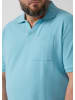 s.Oliver Polo-Shirt  in  6603_türkis