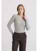 Felix Hardy Pullover in Grau