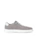 Pius Gabor Sneaker low in grau