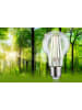 paulmann Eco-Line Filament 230V LED Birne 1er-Set A