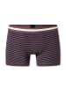 Schiesser Trunk 955 Multi in sortiert 17
