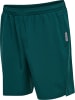 Hummel Hummel Shorts Hmlmove Multisport Herren in DEEP TEAL