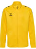 Hummel Reißverschluss Jacke Hmlcore Kinder in SPORTS YELLOW