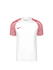 Nike Performance Fußballtrikot Dri-Fit Academy in weiß / rot