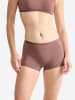 Sloggi Retro Pants GO Daily Cotton Short in CACAO