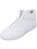 adidas Stiefeletten in white/white/black
