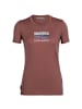 icebreaker T-Shirt W Tech Lite II SS Trailhead in Rost