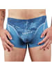 EIN SCHÖNER FLECK ERDE Boxershort 1er Pack in Zugspitze (Himmelblau)