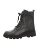 Gabor Stiefeletten/Boot in schwarz
